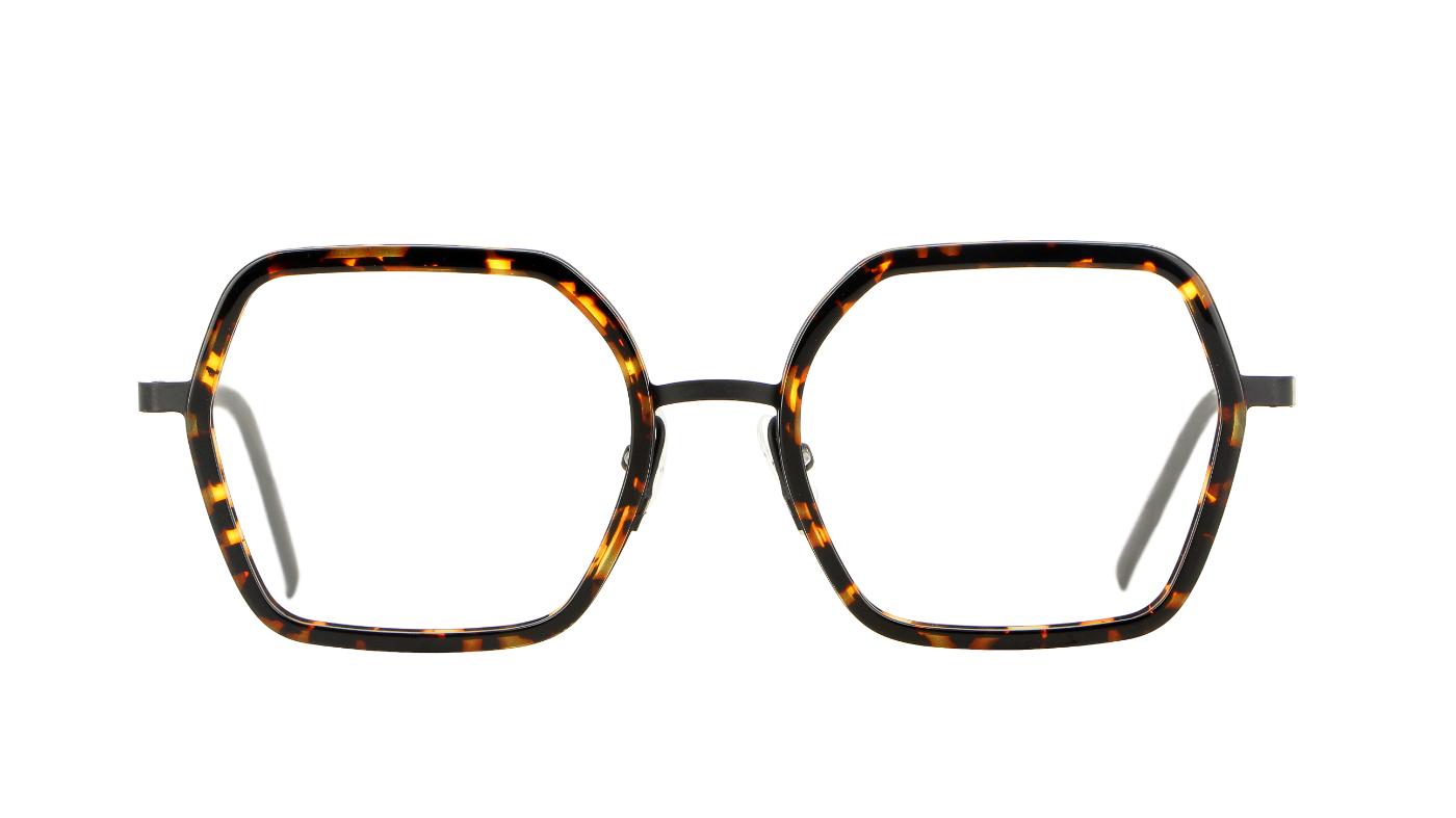 VANNI Frame M501 Front View